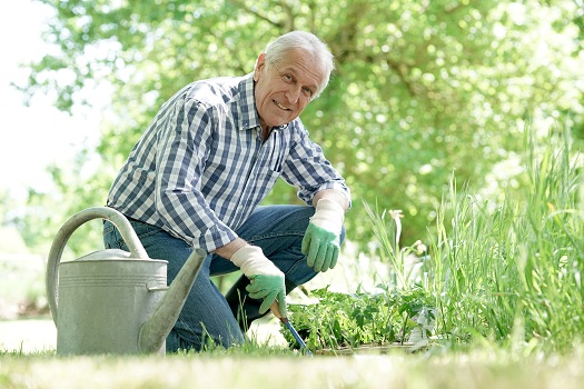 Ways for Aging Adults with Dementia to Enjoy Gardening in Montgomery, AL